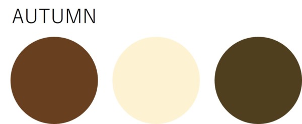 パーソナルカラーオータムに似合う茶色とバニラホワイト