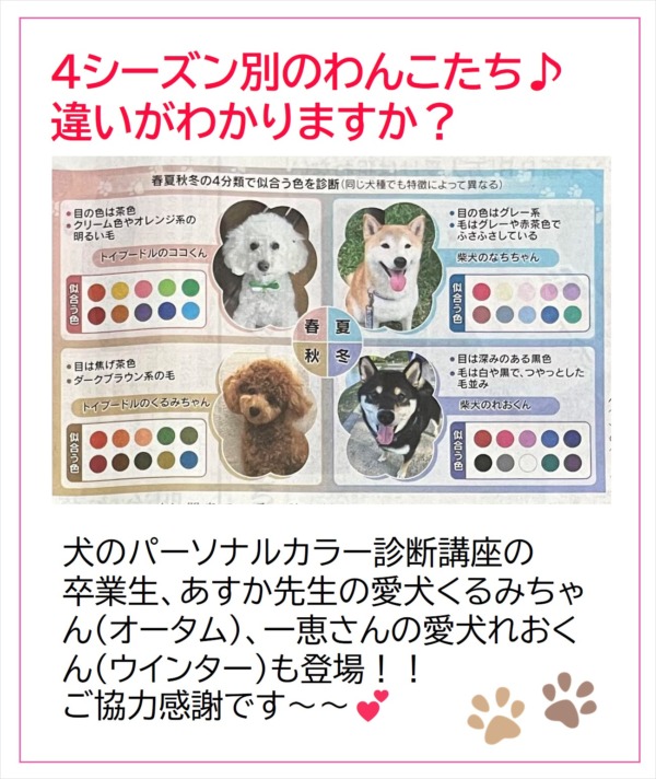 犬の似合う色　犬のパーソナルカラー診断　インリビングカラー