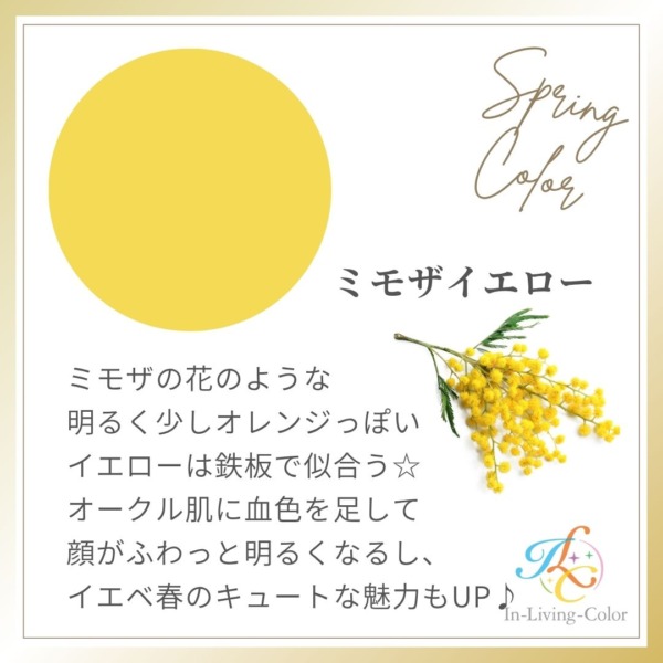 パーソナルカラー　スプリング　イエベ春に似合う色　黄色　イエロー