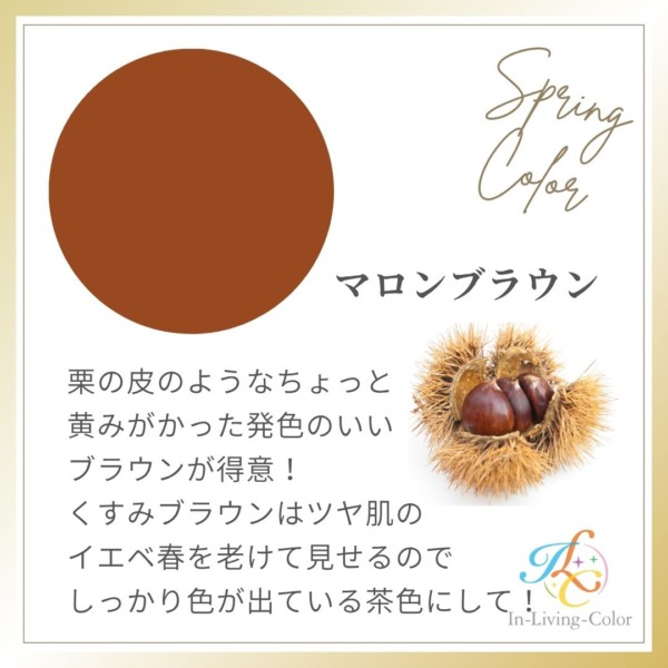 パーソナルカラー　スプリング　イエベ春に似合う色　茶色　ブラウン