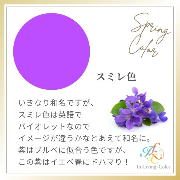 パーソナルカラー　スプリング　イエベ春に似合う色　紫　パープル