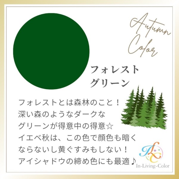 パーソナルカラー　オータム　イエベ秋に似合う色　緑　グリーン