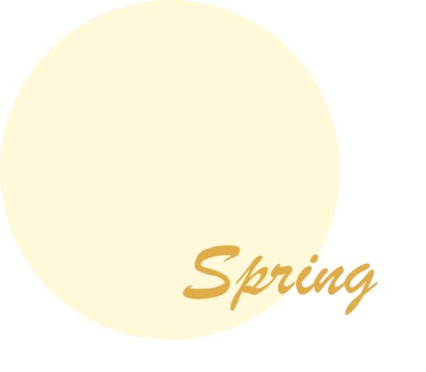 スプリング イエベ春 似合う白 パーソナルカラー