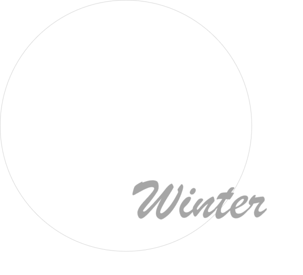 ウインター ブルべ冬 似合う白 パーソナルカラー