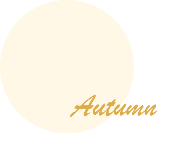 オータム イエベ秋 似合う白 パーソナルカラー