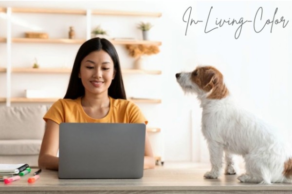 犬の似合う色　犬のパーソナルカラー