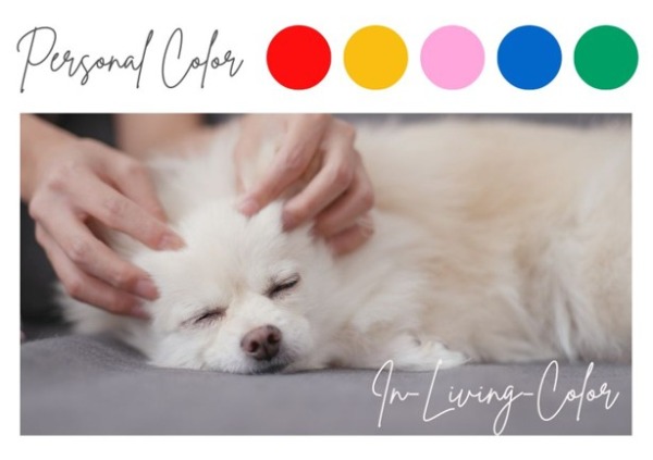 犬の似合う色　犬のパーソナルカラー